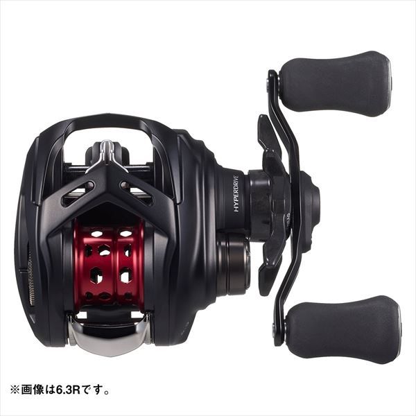 フィッシング ダイワ ベイトリール 25アルファスBF TW 6.3L(左)