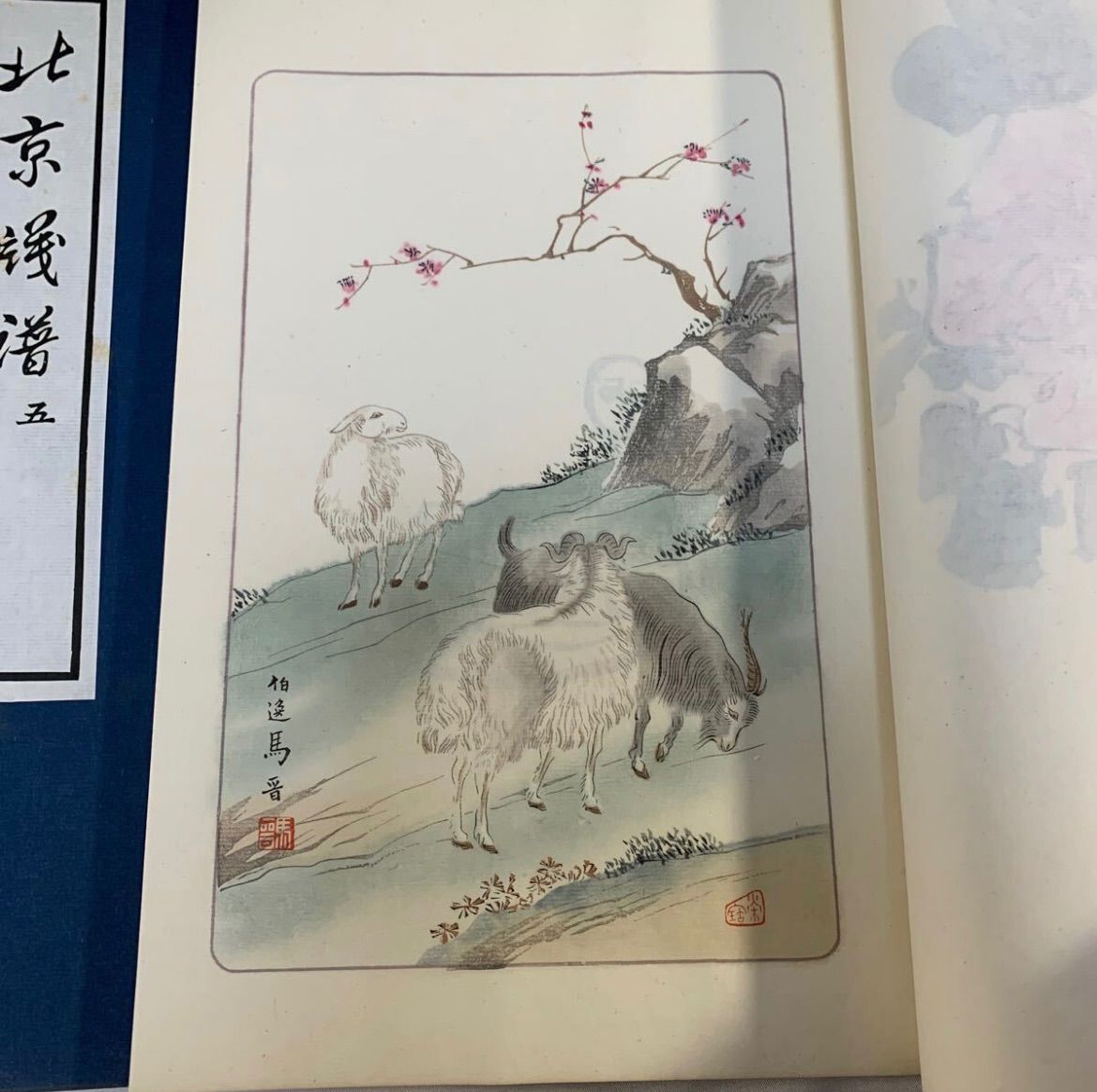 北京牋譜 6冊揃い 木版水印信牋 中国 古文書 古美術 骨董 北京牋譜 6冊揃い 木版水印信牋 中国 古文書 古美術 骨董-超特価