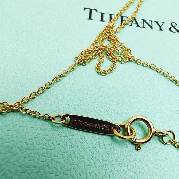 アクセサリー【超美品】Tiffany ティファニー アトラス メダリオン 