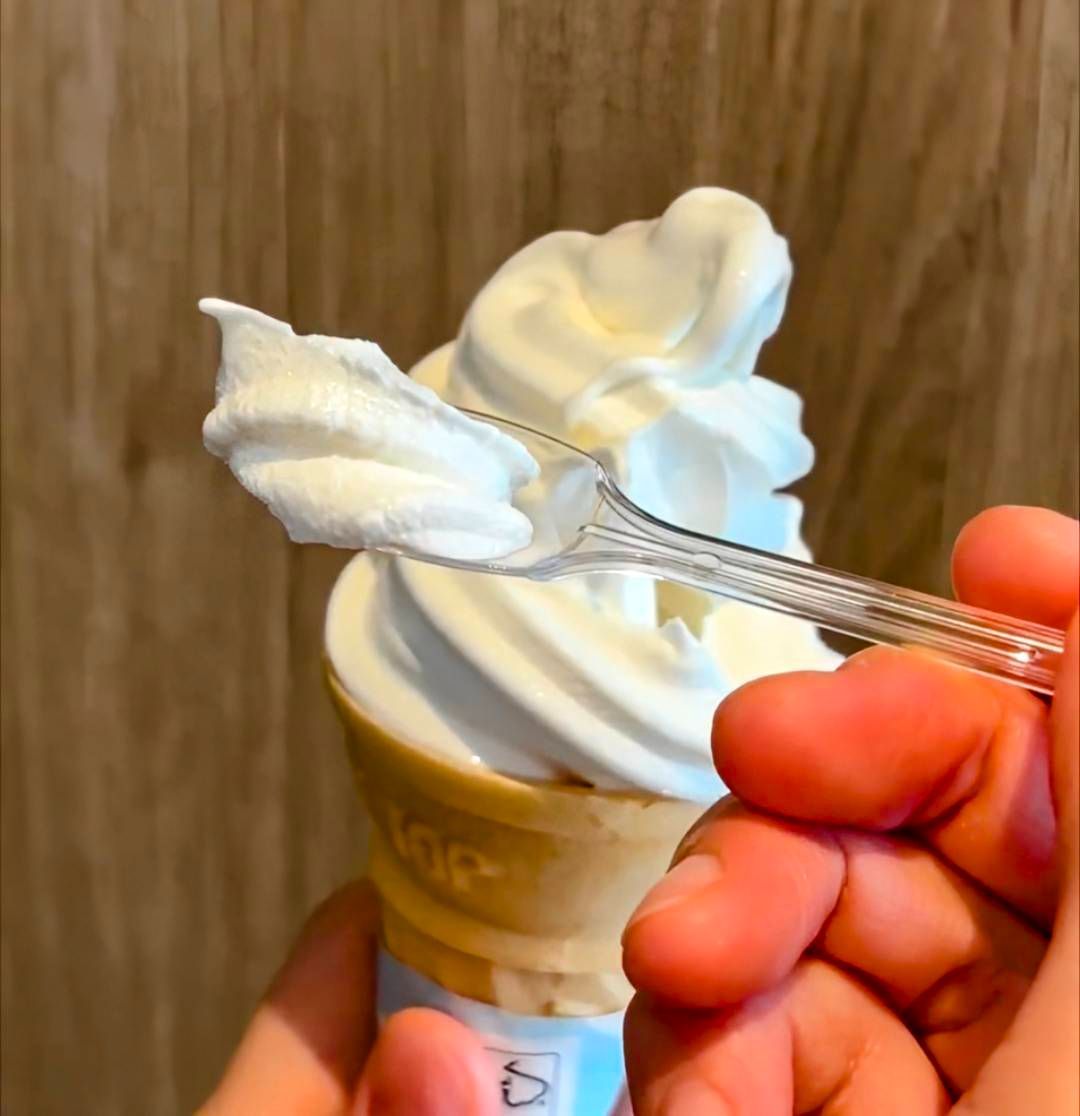 プラスチックスプーン 長さ100ｍｍ 6000本 試食スプーン 使い捨てスプーン