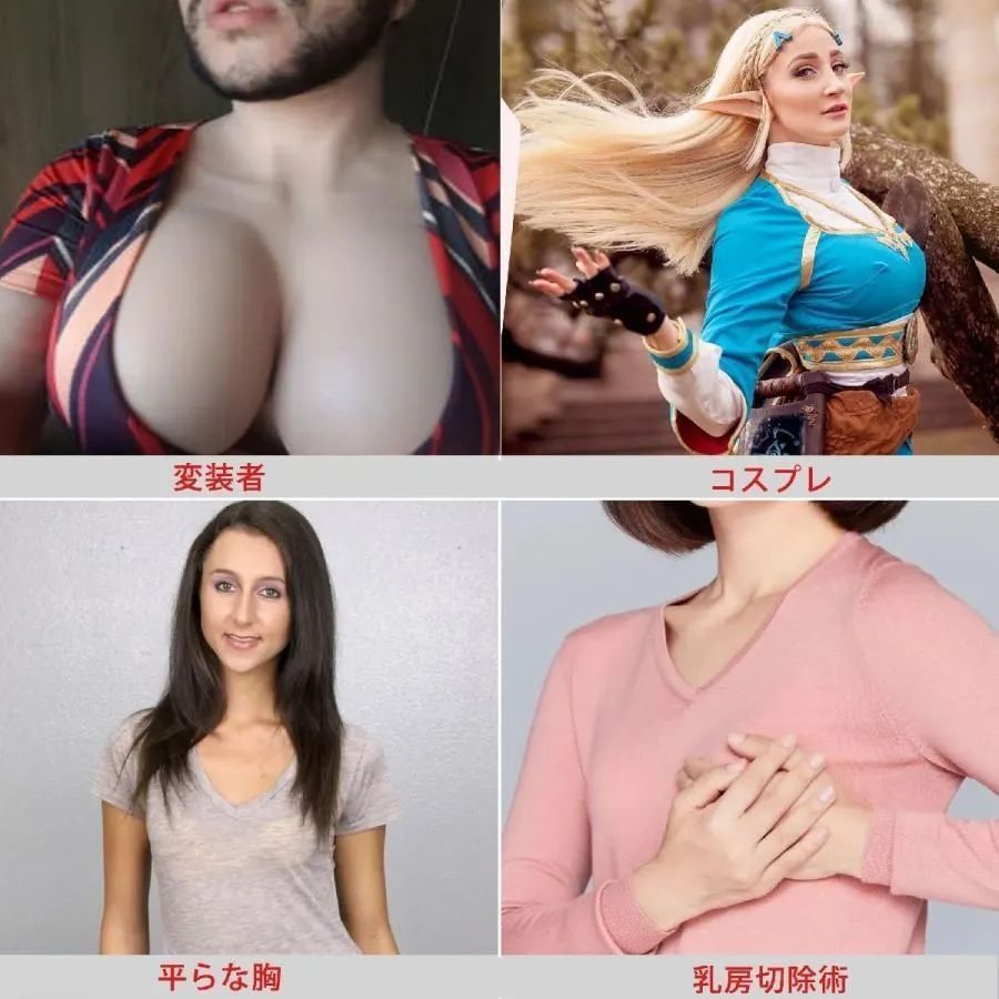 シリコンバスト 人工乳房 約500g(左右250*2) 左右2点セット シリカゲル充填 女装おっぱい 性転換 人工乳房 仮胸 豊胸 美乳 粘着 貼付式  仮装 - メルカリ