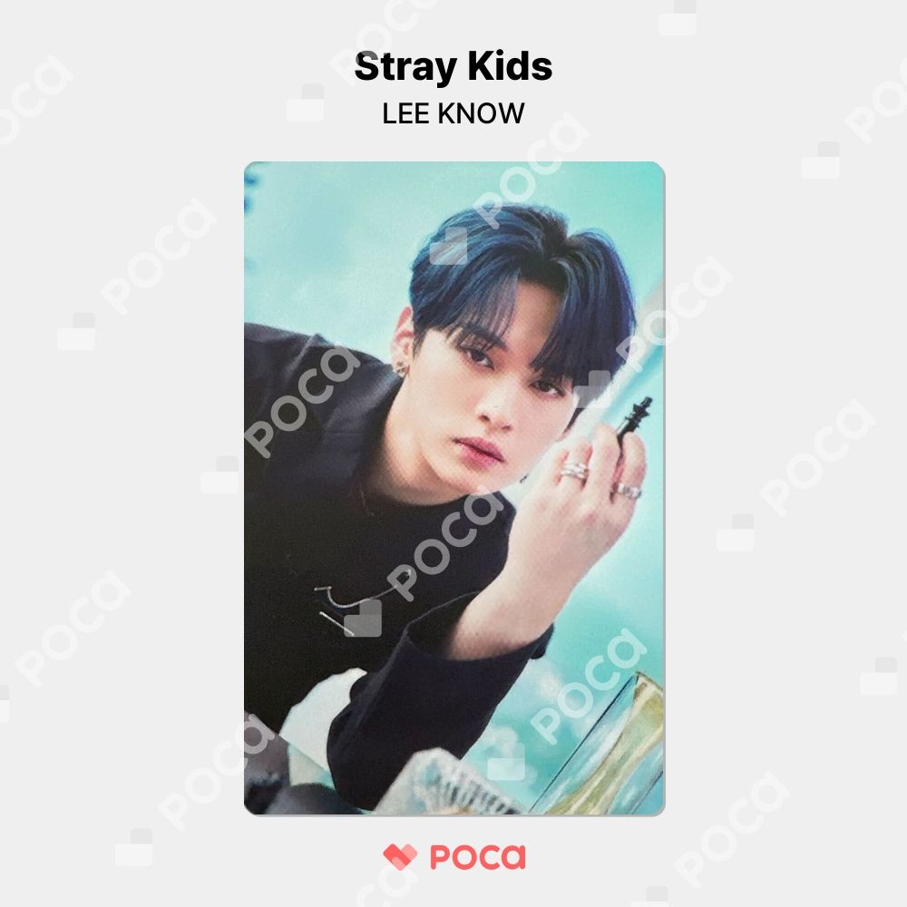 Stray Kids スキズ リノ IN生 subk ヨントン トレカ 公式 straykids IN生 リノ トレカ