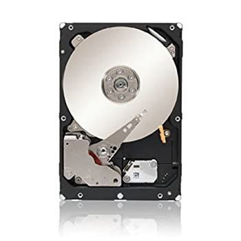【中古】（非常に良い）Seagate 1TB Enterprise Capacity HDD SATA 6Gb/s 128MB Cache 3.5-Inch Internal Bare Drive (ST1000NM0033) [並行輸入品]
