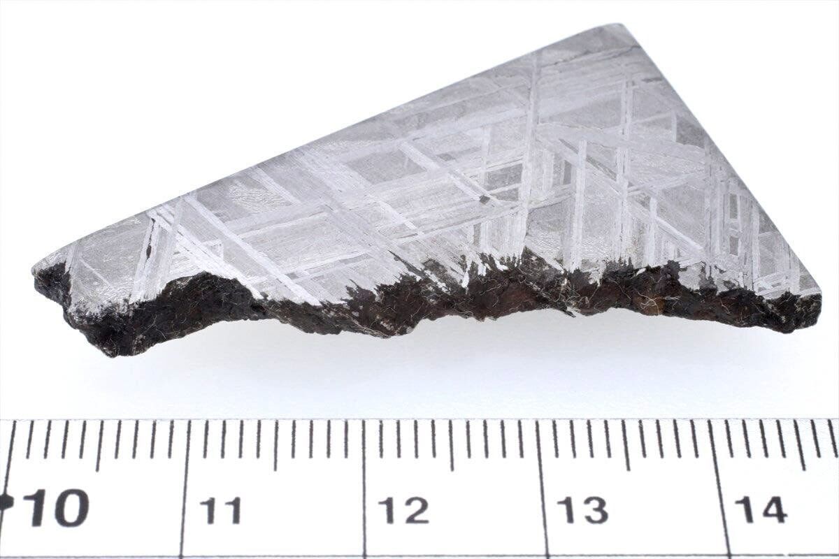 ムオニナルスタ ムオニオナルスタ 20g スライス カット 標本 隕石 オクタヘドライト 162