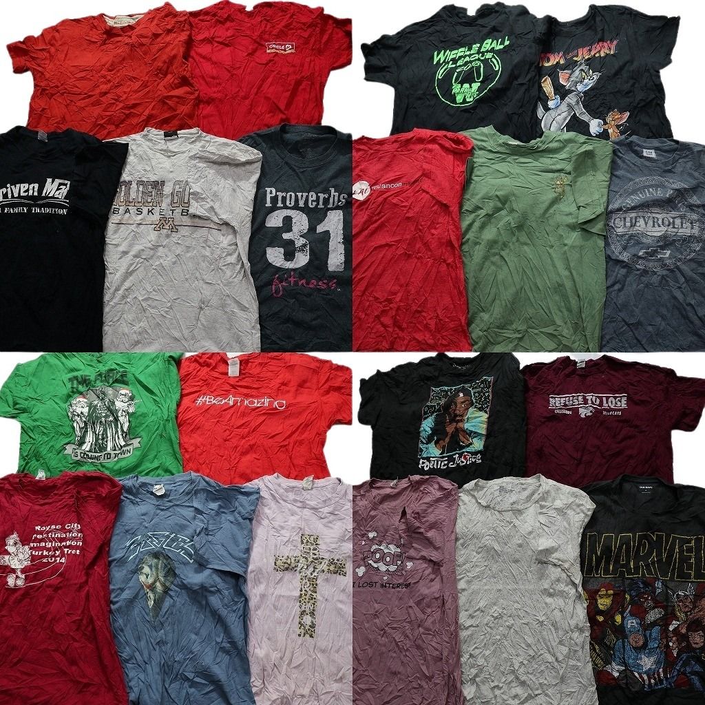 生涯スポーツトレーナー アドバンス 実践編 Amazon.co.jp: 生涯