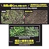 長期持続
