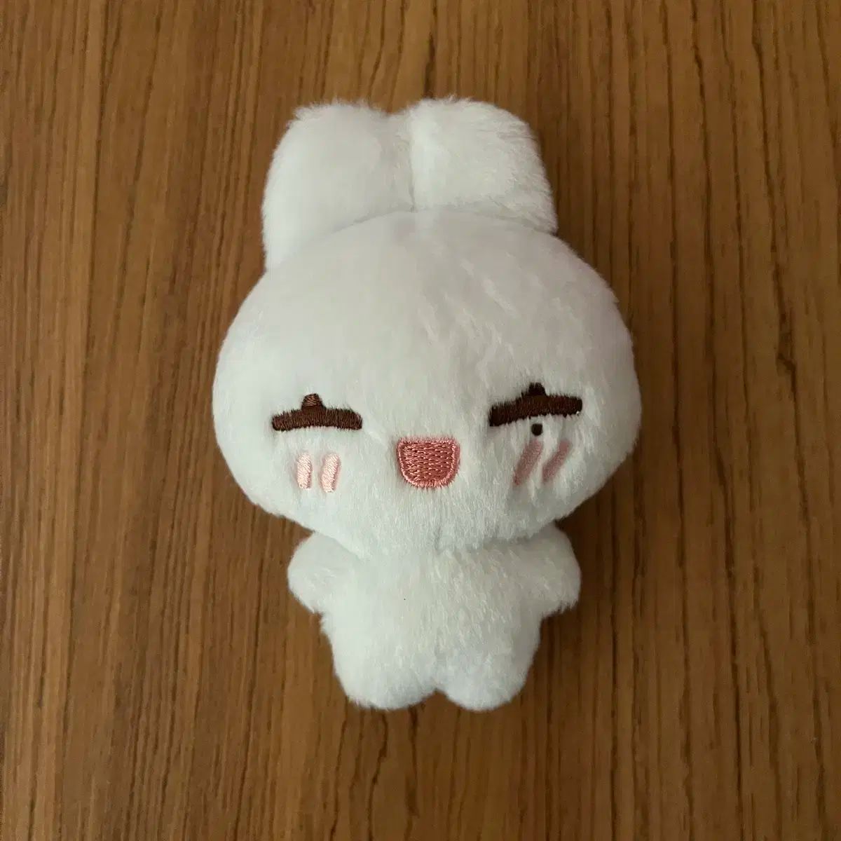 enhypen ソヌ ぬいぐるみ ENHYPEN(エンハイプン・エナプ) ソヌ(SUNWOO