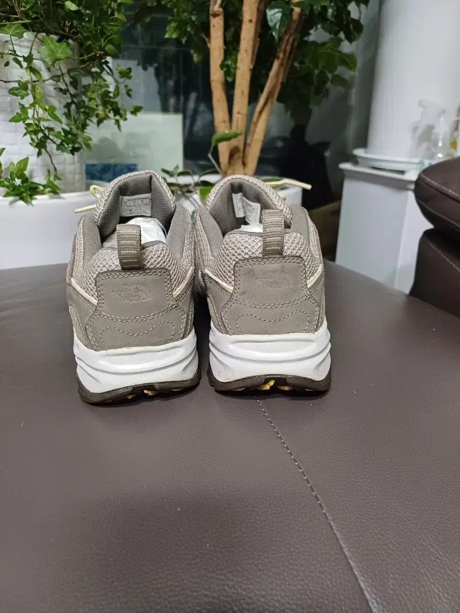 THE NORTH FACE ザノースフェイス 登山 スニーカー 250 255 HRDEVELOPMENT_JP