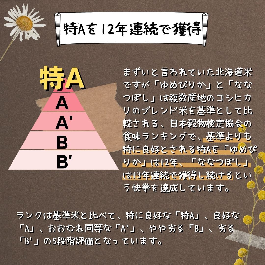 【令和6年・減農薬・特別栽培米】ゆめぴりか  10kg 北海道蘭越産