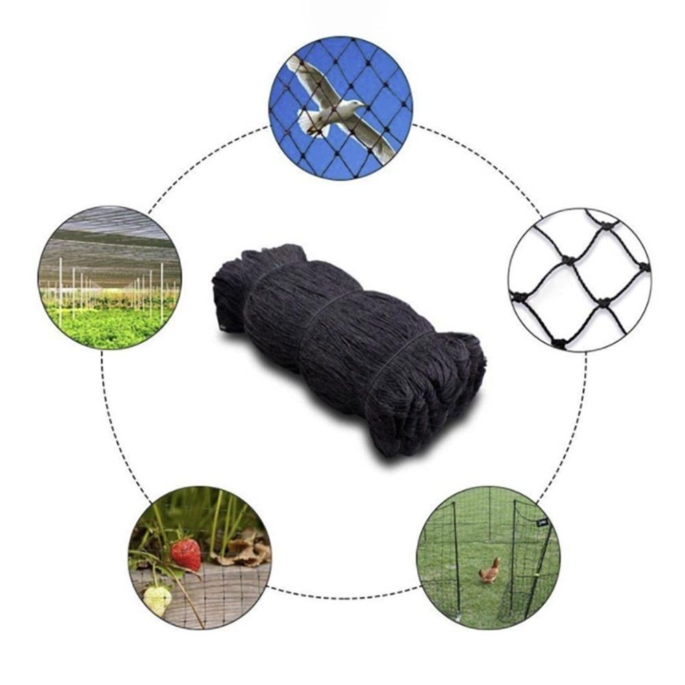 ブラック バードネット