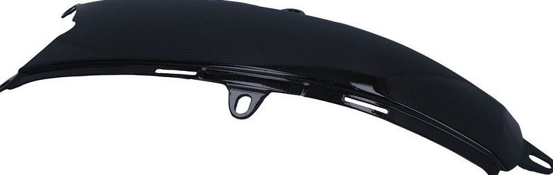 DUCATI / ドゥカティ Genuine Carbon tank bottom cover - M | 969A04909B