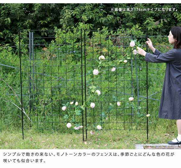 地面に挿すだけ