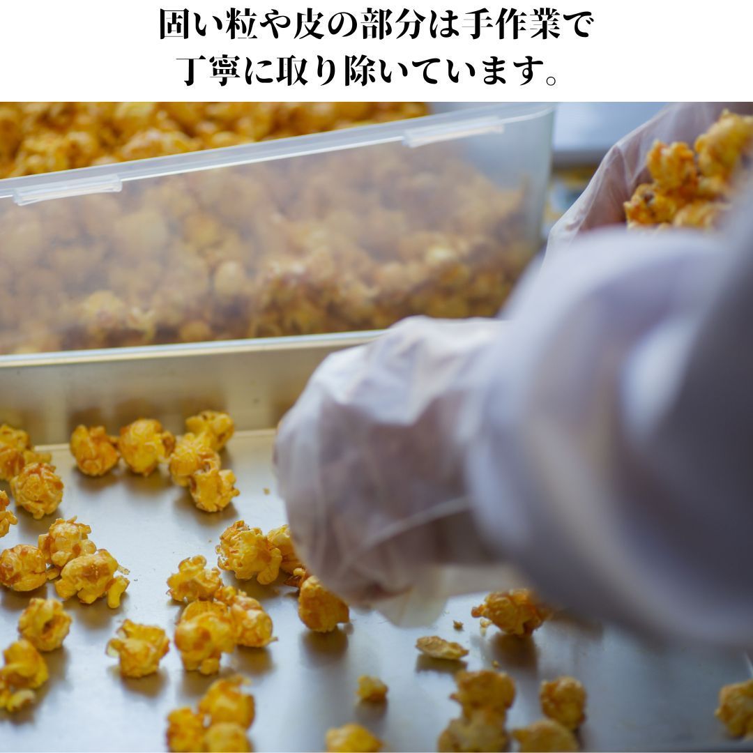 ポップコーン フレーバー 国産 無添加 スイーツ ギフト 御中元 御歳暮 お返し 御礼 お祝い プレゼント 手土産 差し入れ おしゃれ 高級 お菓子 食べ比べ 11種類