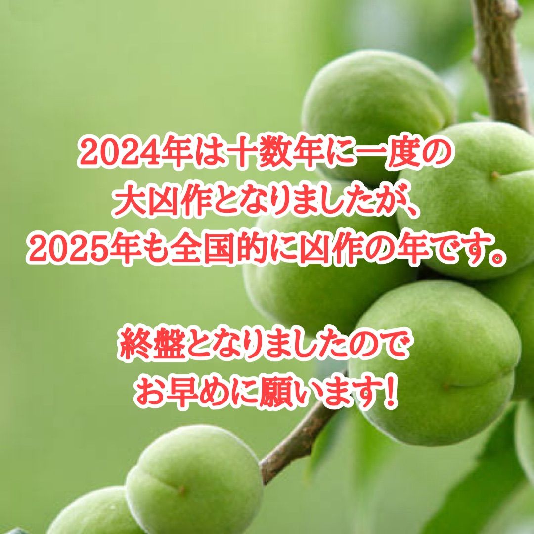 01.隣県限定 常温 10kg 山形県産 谷沢梅 完熟 中熟 梅ジャム ジュース 10kg・クール便のみ】山形県産 谷沢梅 完熟 中熟 梅干し 農薬不