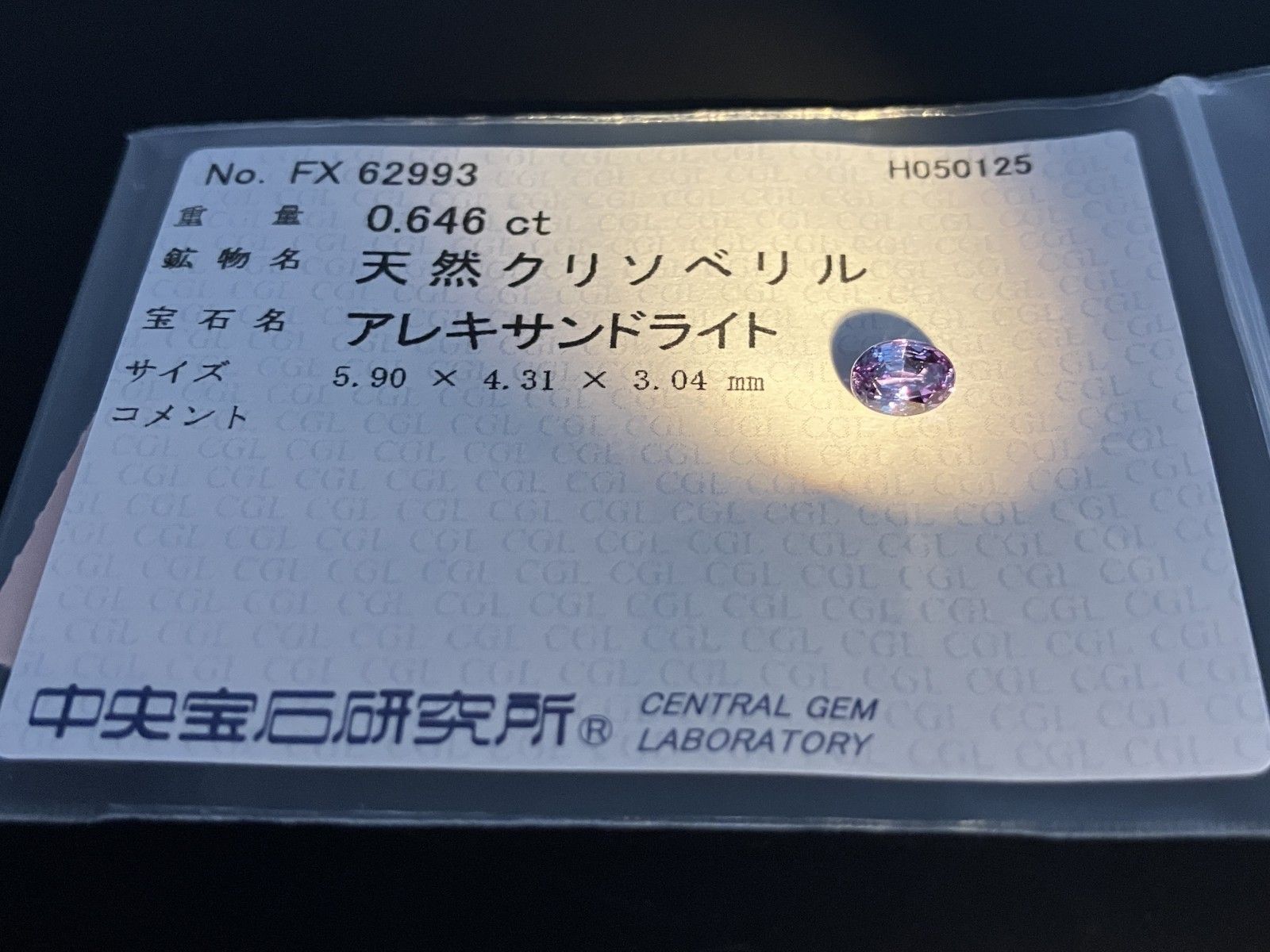 4898YY