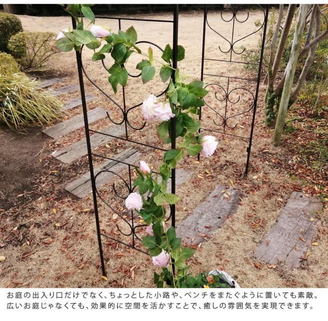 アイアンアーチ Blossom