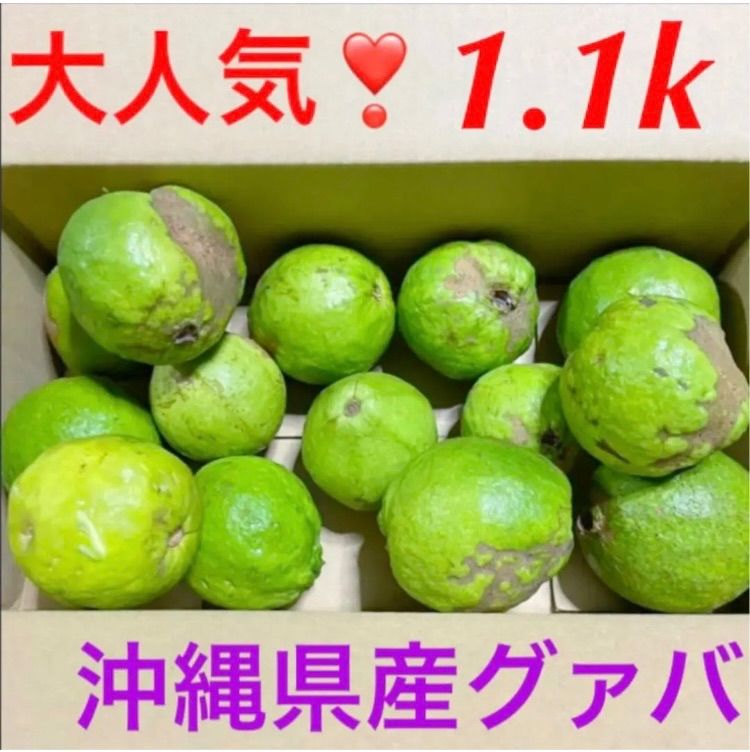 柔らかな質感の グァバ サラダ 白 1キロ 沖縄県産