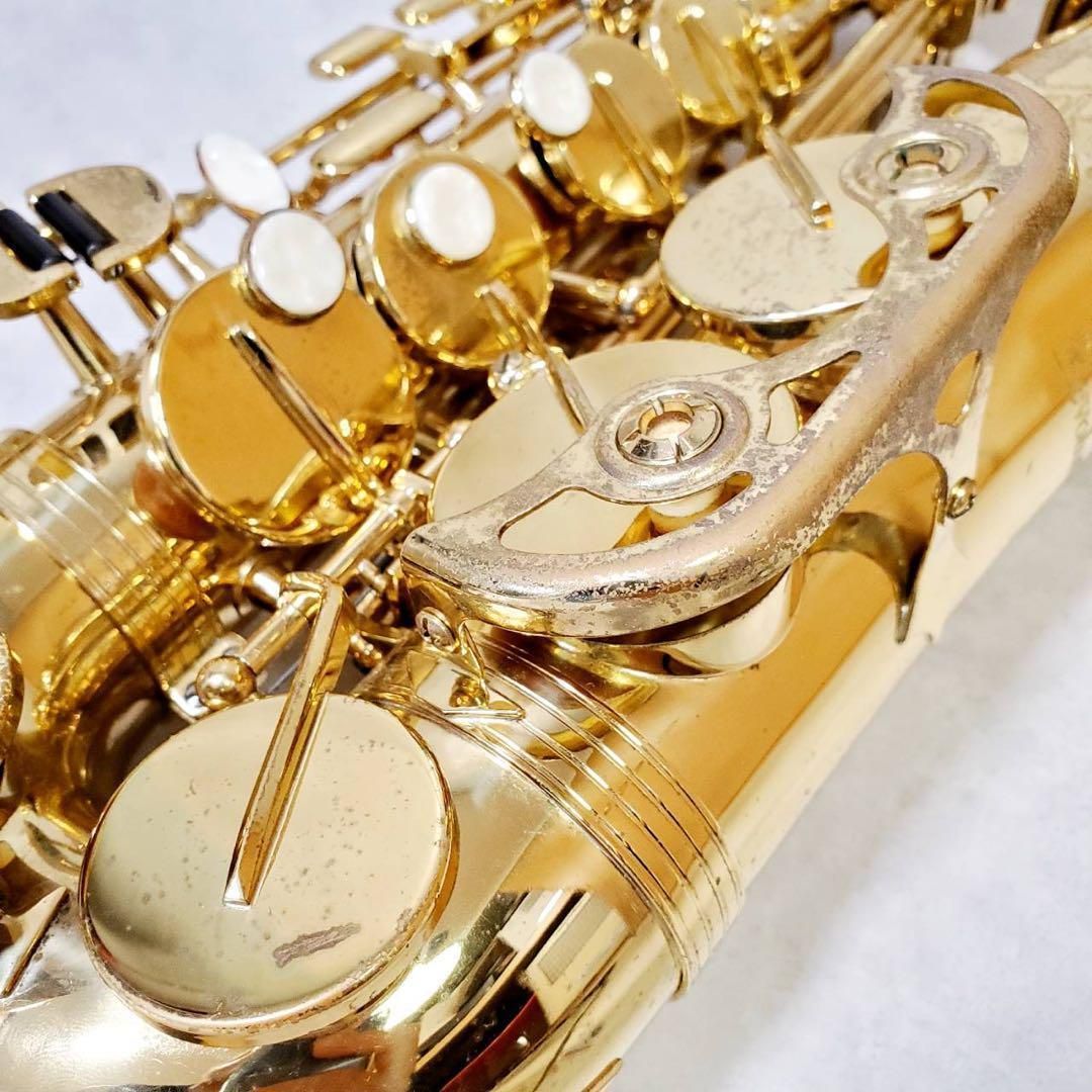 トレバージェイムス