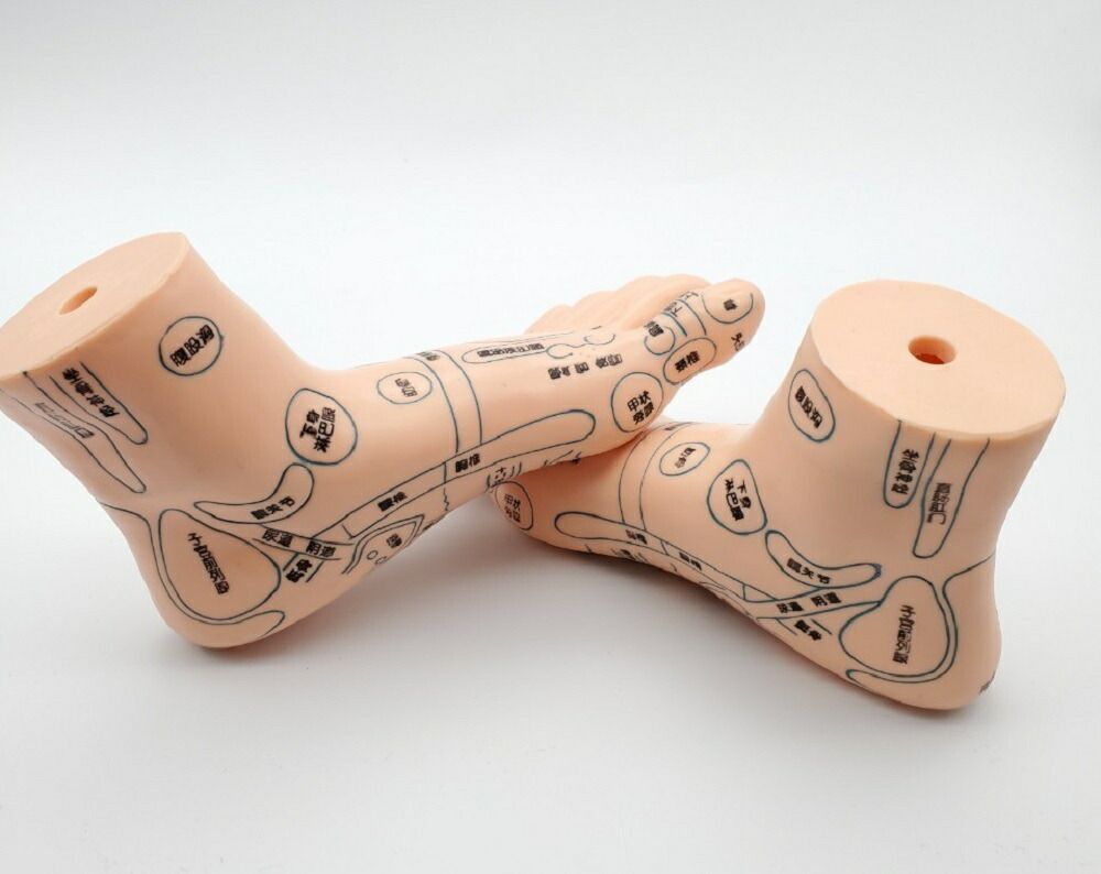 2個セット 足つぼ 模型 足つぼマッサージ 体系的に覚える ツボ