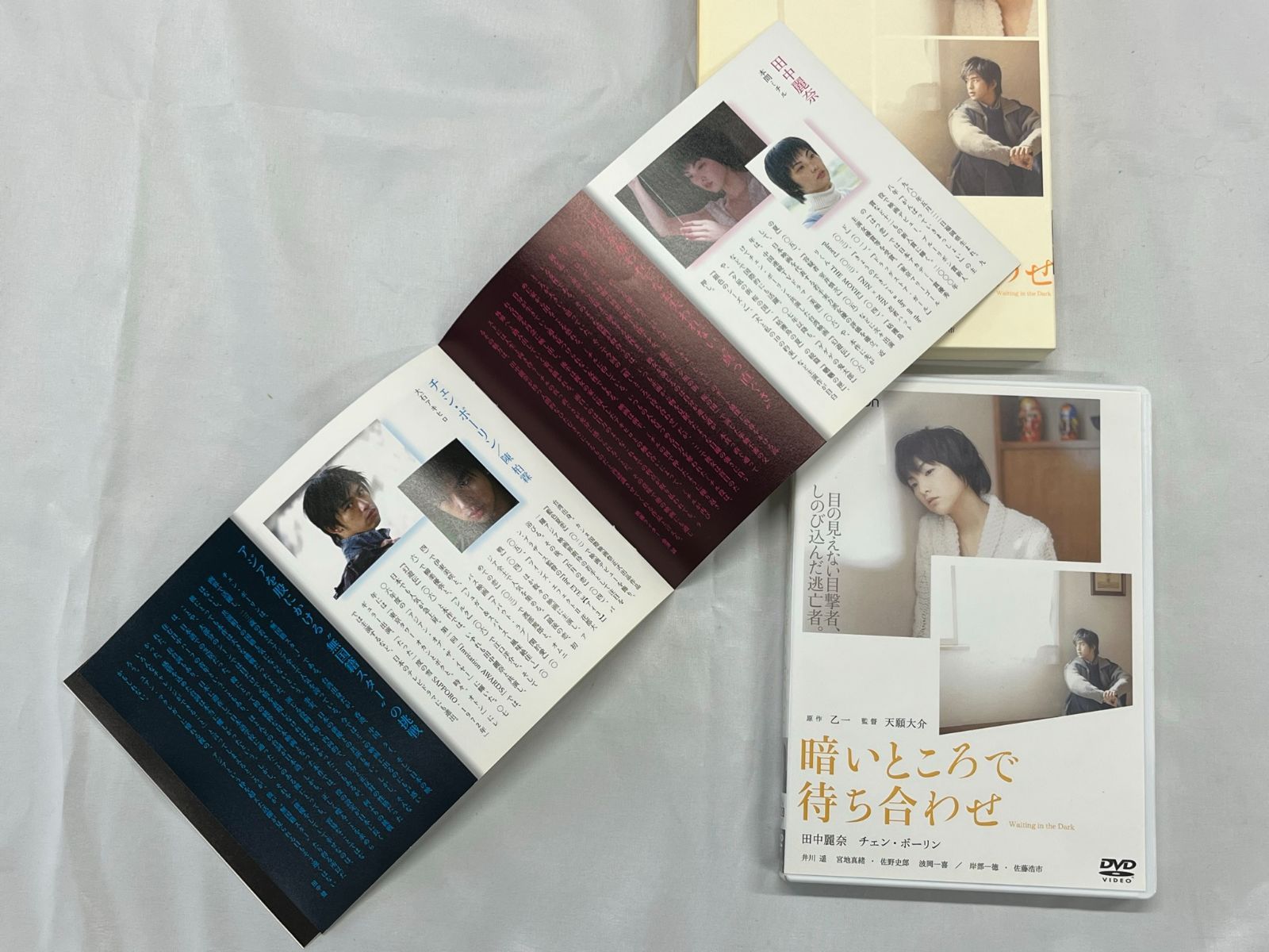 暗いところで待ち合わせ プレミアムエディション DVD2枚組 解説