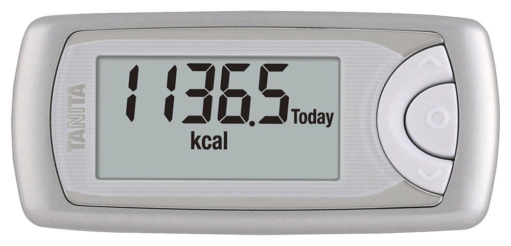 タニタ(TANITA) 活動量計 カロリズム シルバー AM-160-SV 
