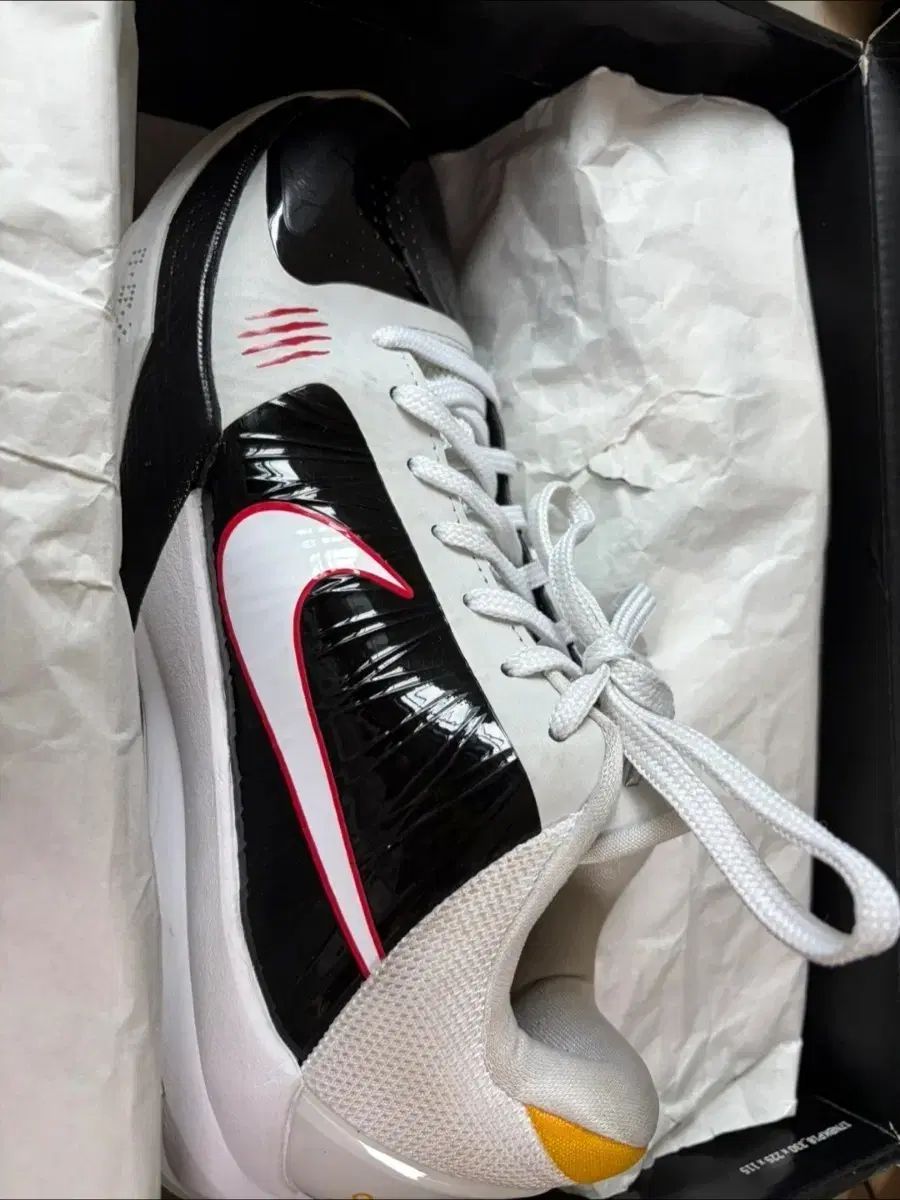 コービー5 プロトロ オルタネイト 265