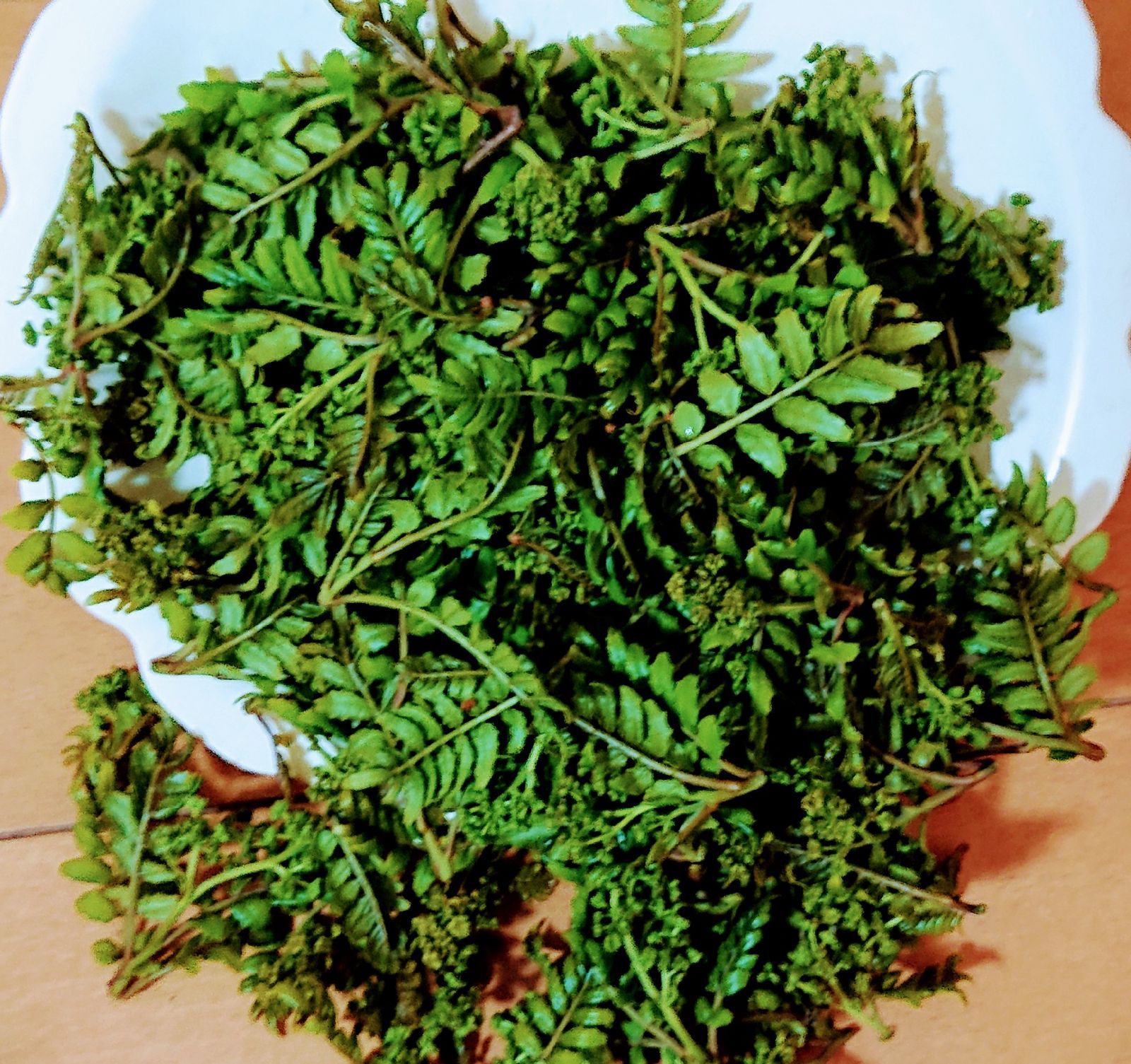 花山椒新芽入り - メルカリ
