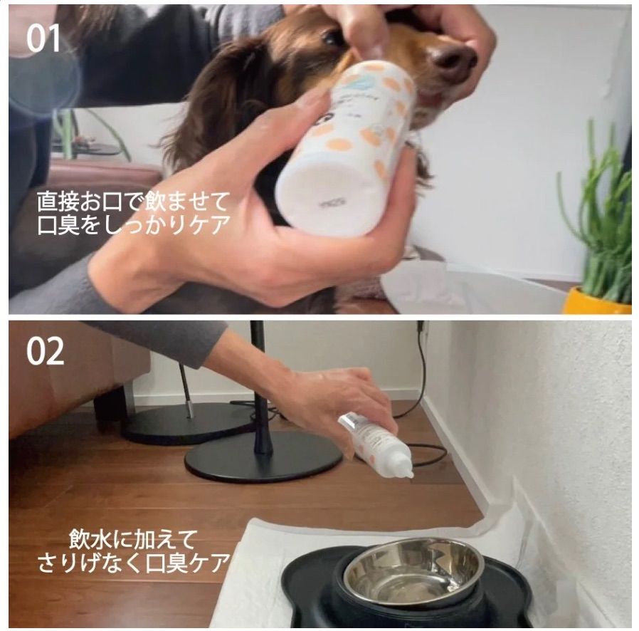 犬用[ORP] リバイバルウォーター マウスクリーナー 口臭対策のマウスクリーナー 100ml 犬用 2本セット メルカリ