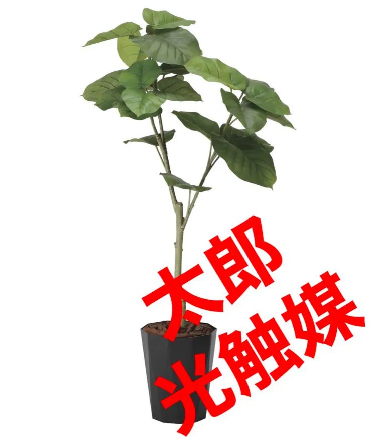 光触媒 人工観葉植物 ウォールグリーン フレッシュウンベラータ1.35m-