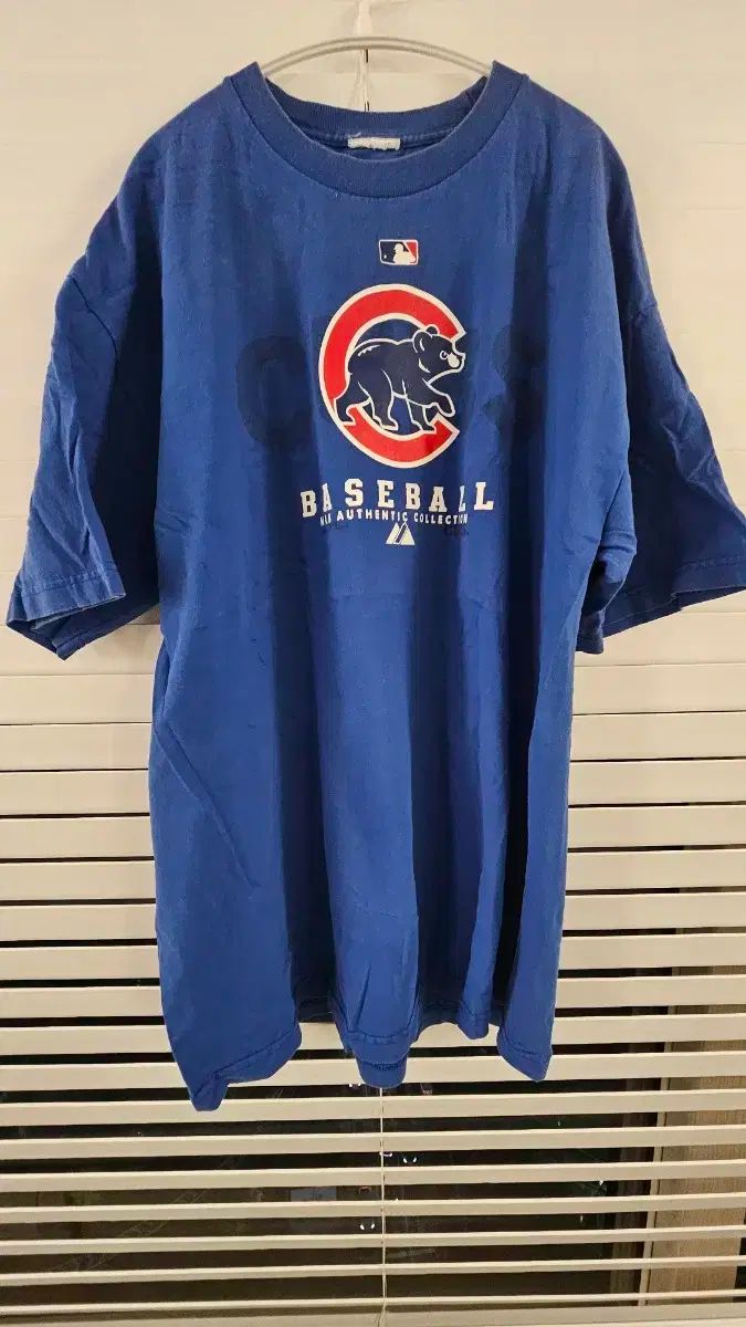 未使用 タグ付 デッドストック 新庄剛志 マジェスティック メッツ T