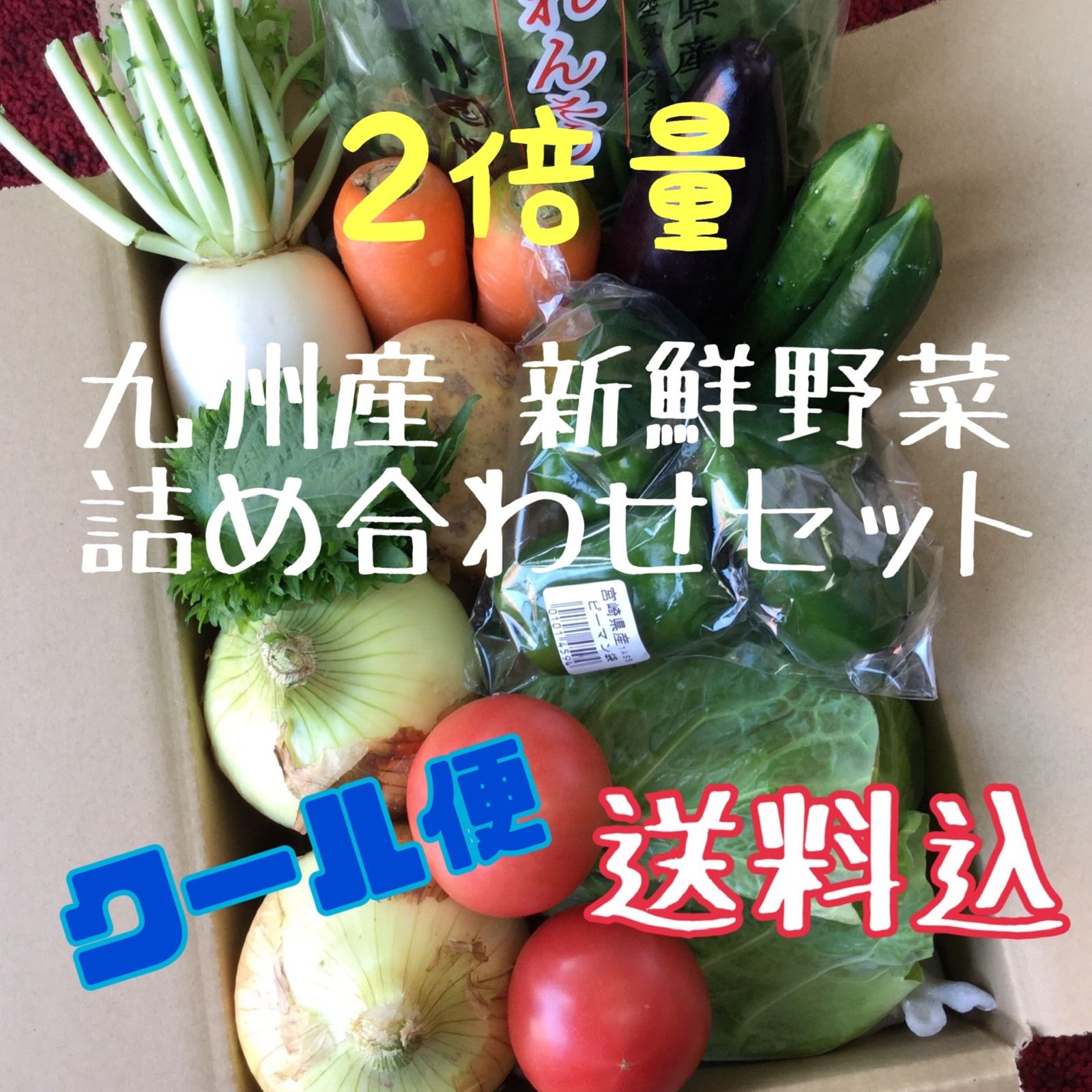 【クール便送料込み】2倍量　九州産　新鮮野菜　詰め合わせセット