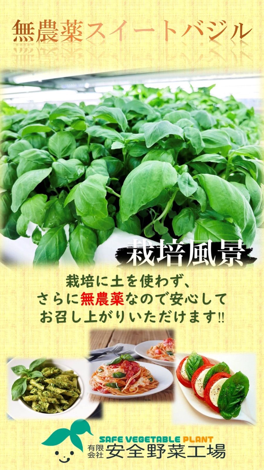 無農薬スイートバジル 2kg - 有限会社安全野菜工場 - メルカリ