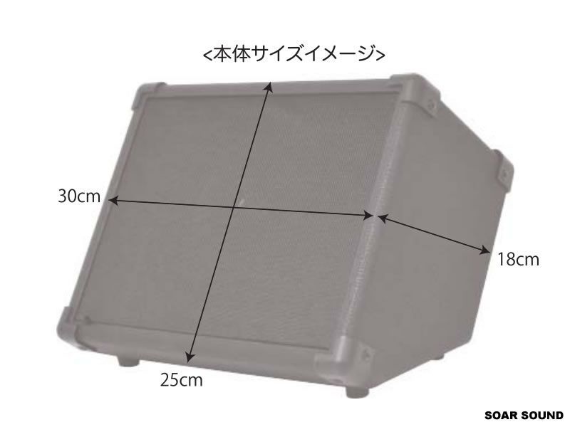 有線マイク2本 セット