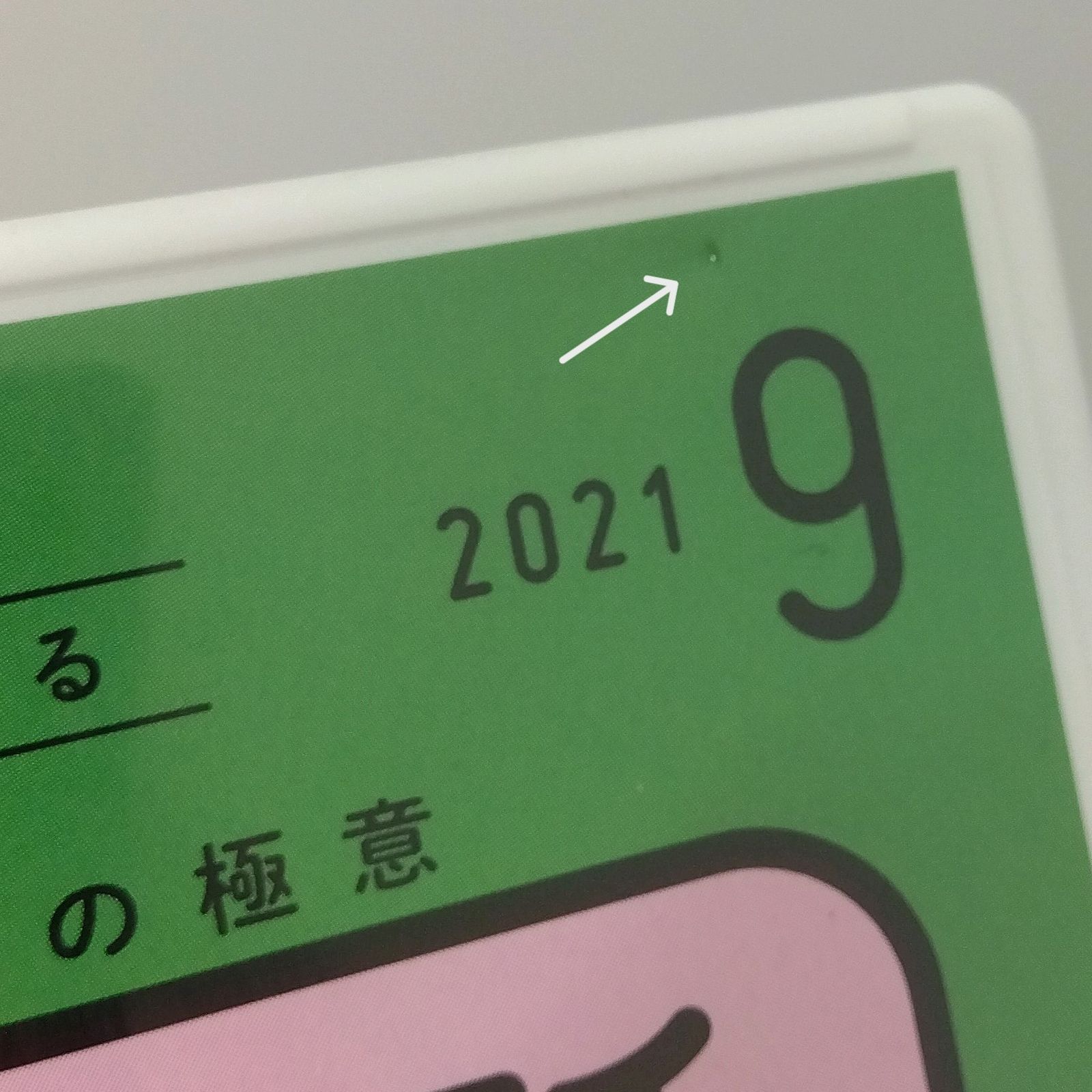 12枚セット】 NHKラジオ英会話 2021年4月~2022年3月 大西泰人 CD (テキスト欠品) - メルカリ