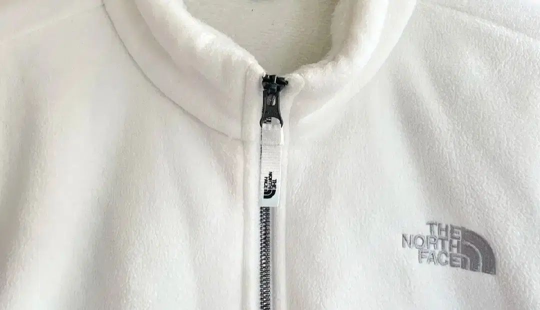 THE NORTH