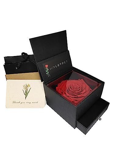ブラック-2 ?苑GONGYUANハンドメイドの永遠の花防塵ジュエリーボックス創造的な贈り物女性の友人のために (ブラック-2)