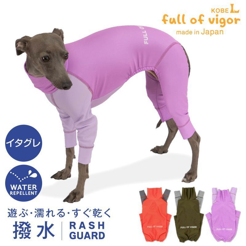 ❗️美品❗️01008504 少年＊花束 リアドロ、プレゼントに❗️