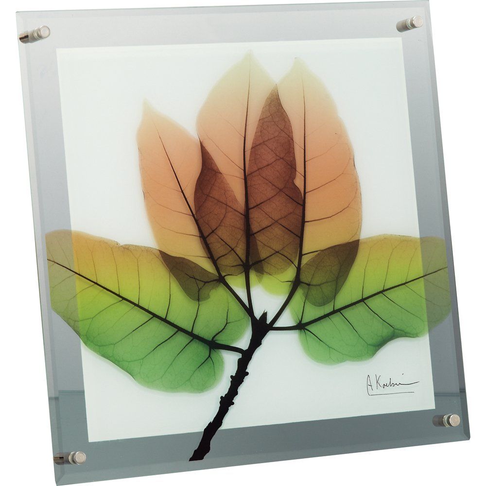 レントゲンアート X RAY ガラス アート「アスペン フォール（Mサイズ）」/インテリア 額入り 額装込 風景画 油絵 ポスター アート アートパネル リビング 玄関 プレゼント モダン アートフレ