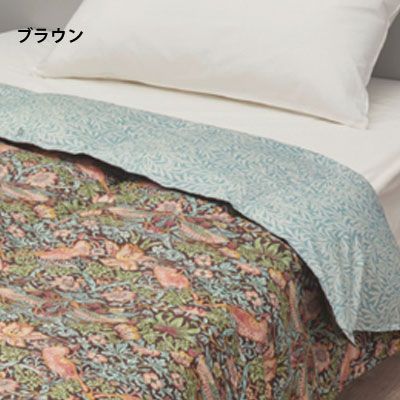 いちご泥棒 ブラウン