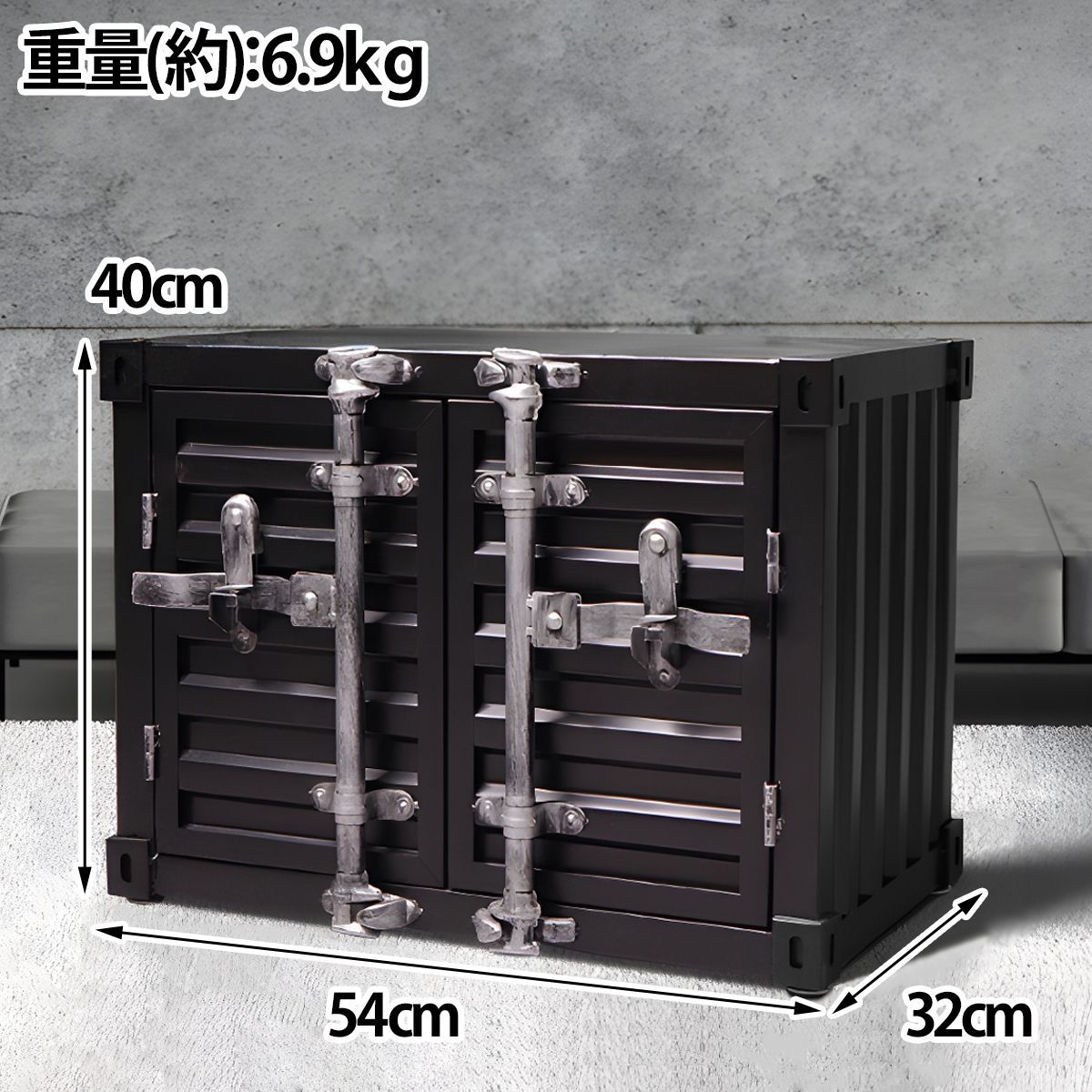 収納ボックス 大きい