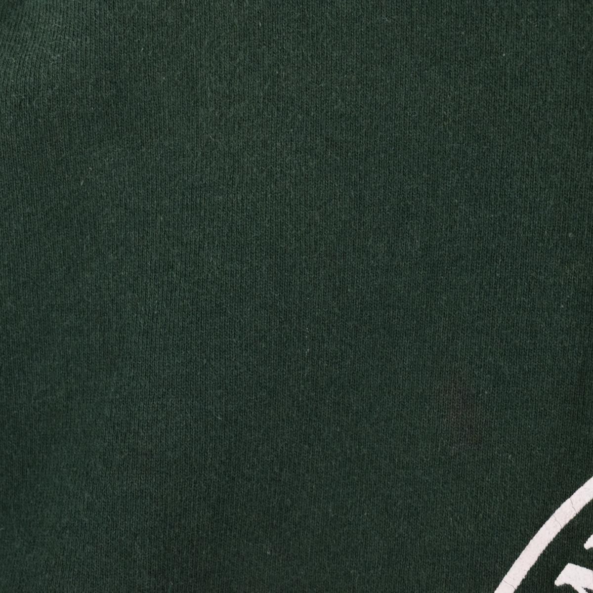 古着 90年代 フルーツオブザルーム FRUIT OF THE LOOM プリントスウェットシャツ トレーナー USA製 メンズXL  ヴィンテージ/eaa305568