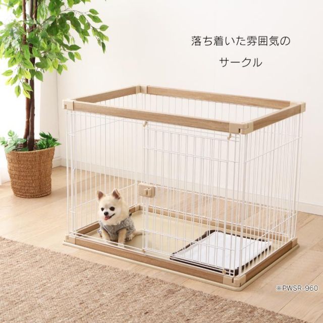 ケージ