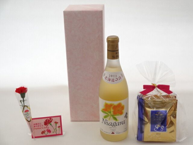 SWISS KUBIK スタートボックス SK01 緑 美品