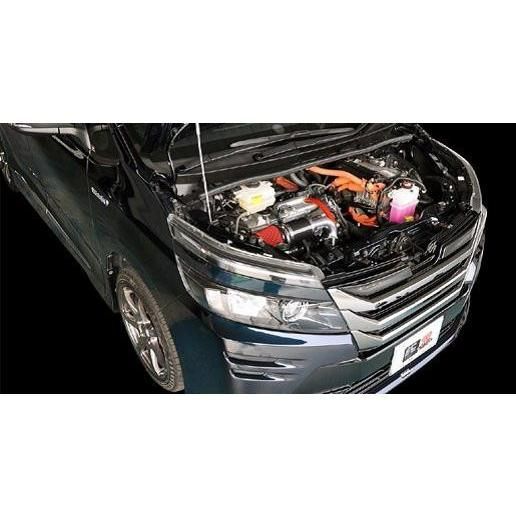 ZERO-1000 零1000 パワーチャンバー タイプ2 スーパーレッド トヨタ ノア ヴォクシー エスクァイア 102-T028 FFCRYSTALESIA_COM