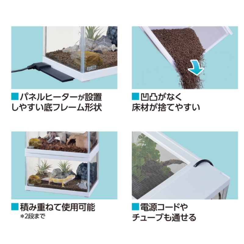 多頭飼い