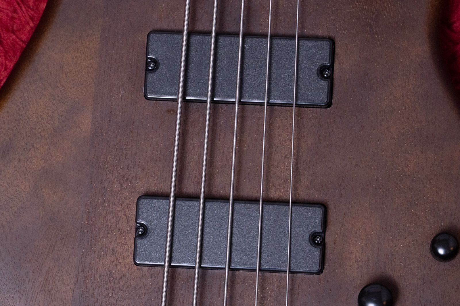 Ibanez |
