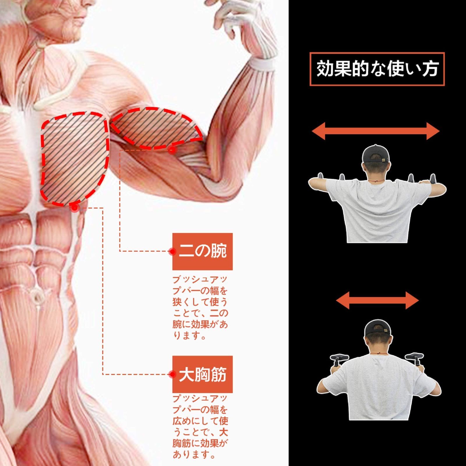 背筋 シットアップ