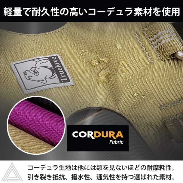 機能性 小型犬