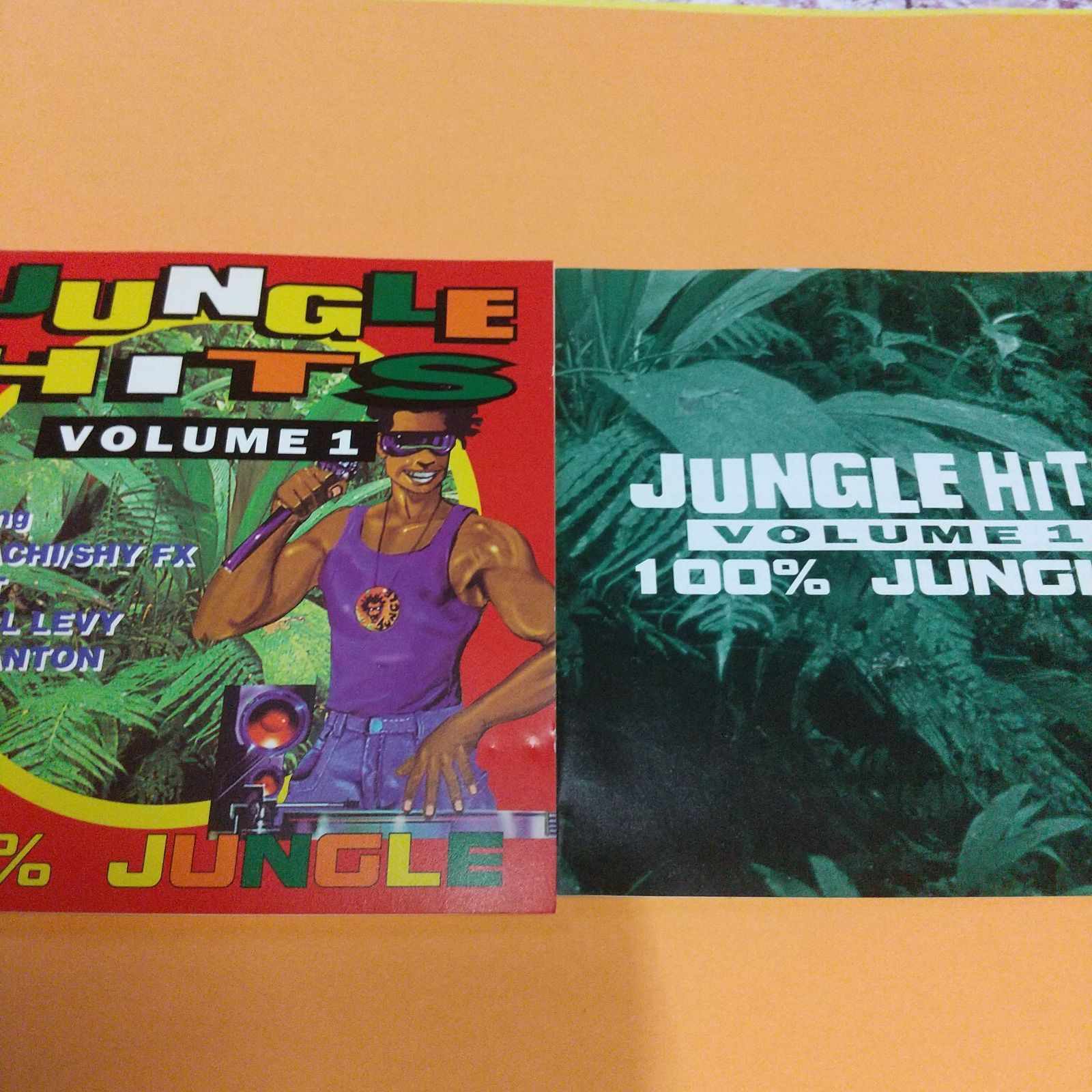 Jungle Hits, Volume 1 レゲエアルバム2枚組 - メルカリ