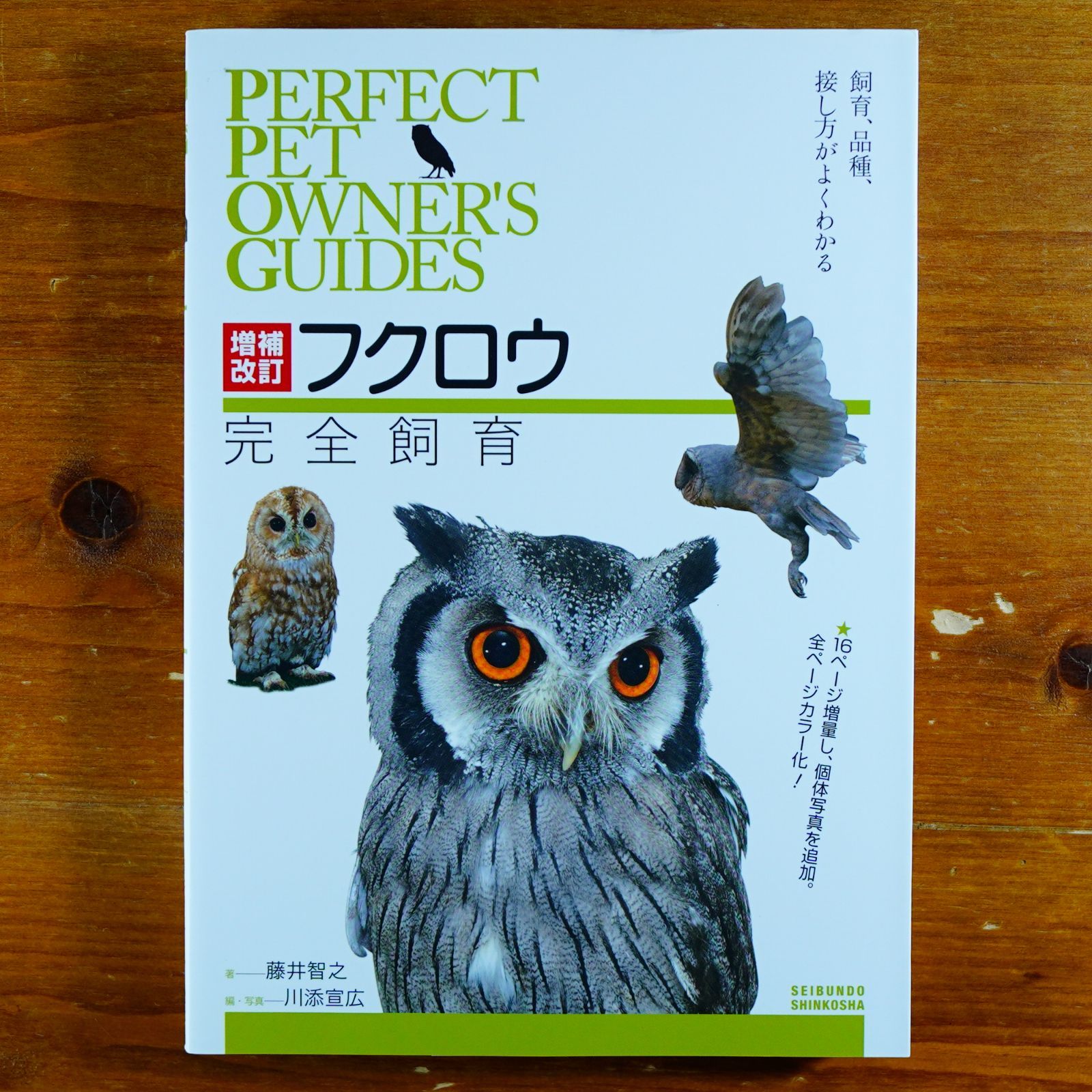 PERFECT PET OWNER'S GUIDES チンチラ 少なく 完全飼育 売買されたオークション情報 落札价格 【au  payマーケット】の商品情報をアーカイブ公開